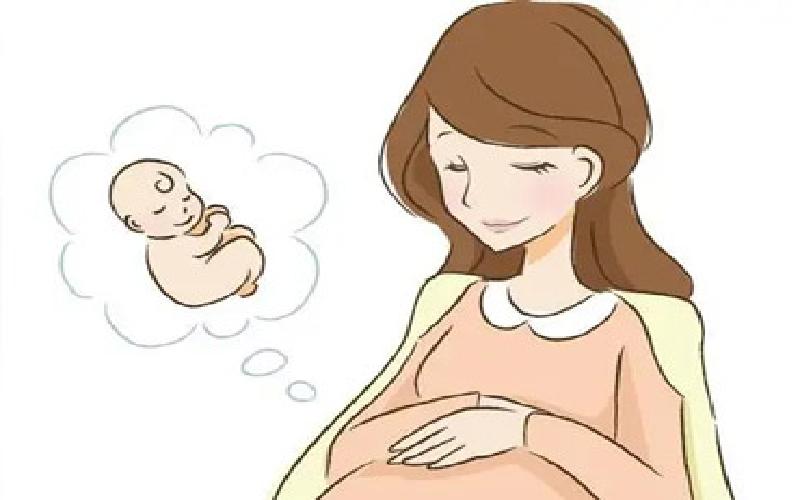 试管叫什么代生